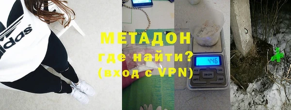 шишки Няндома