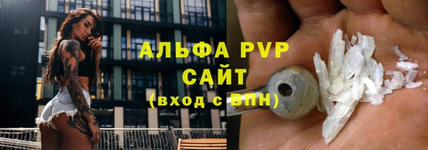 шишки Няндома