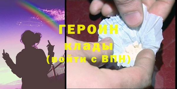 шишки Няндома
