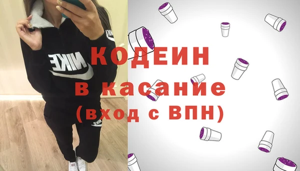 шишки Няндома