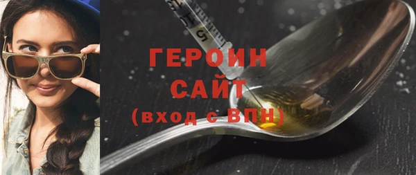 шишки Няндома