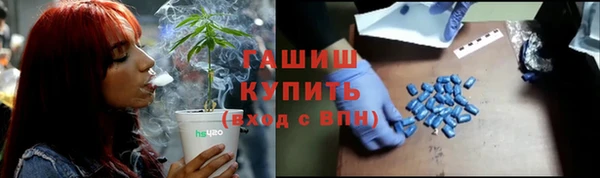 шишки Няндома