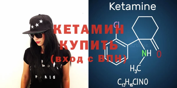 шишки Няндома