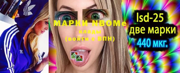 шишки Няндома