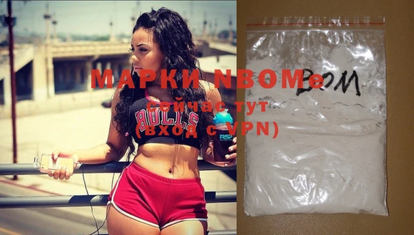 шишки Няндома