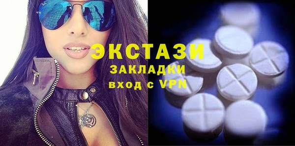 шишки Няндома