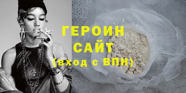 шишки Няндома