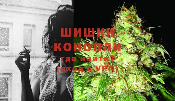 шишки Няндома