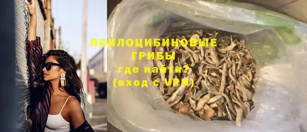 шишки Няндома