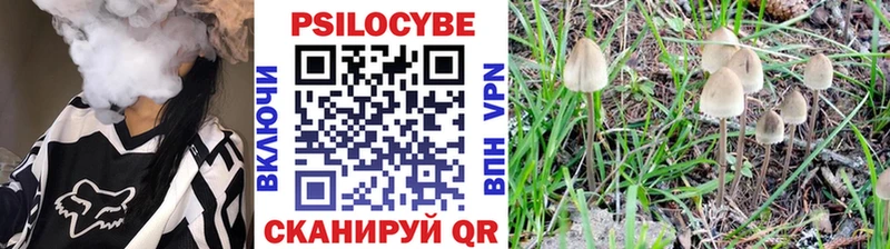 Галлюциногенные грибы Psilocybine cubensis  Коряжма 