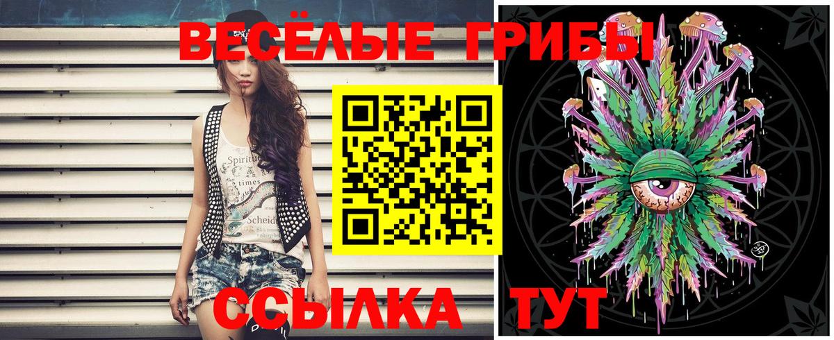 Коряжма  Псилоцибиновые грибы ЛСД  Вход с VPN 