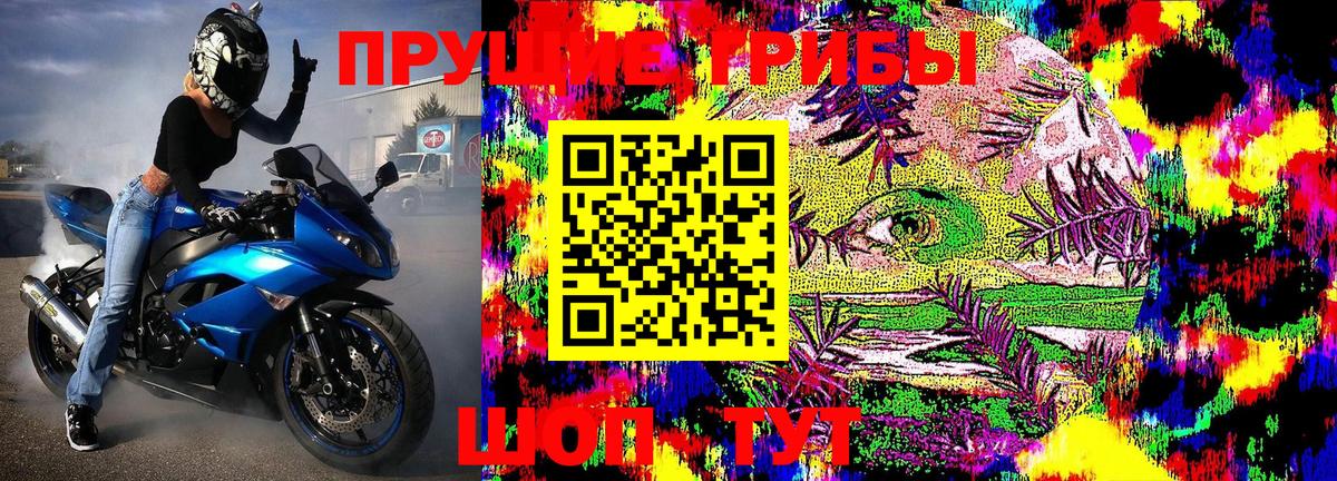 Галлюциногенные грибы мухоморы  где найти   Коряжма  Галлюциногенные грибы GOLDEN TEACHER 