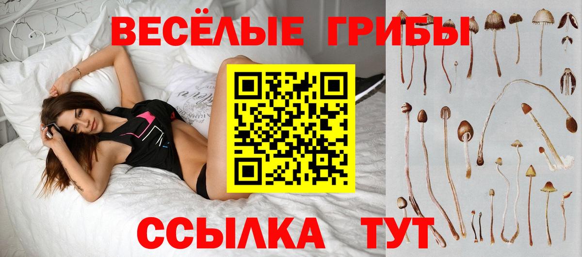 Псилоцибиновые грибы мухоморы Коряжма