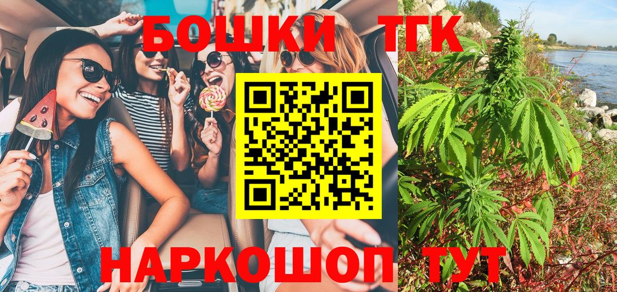 Конопля сатива Коряжма